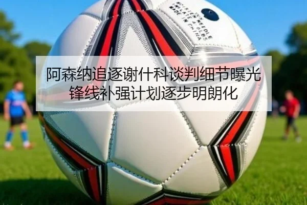 阿森纳追逐谢什科谈判细节曝光 锋线补强计划逐步明朗化
